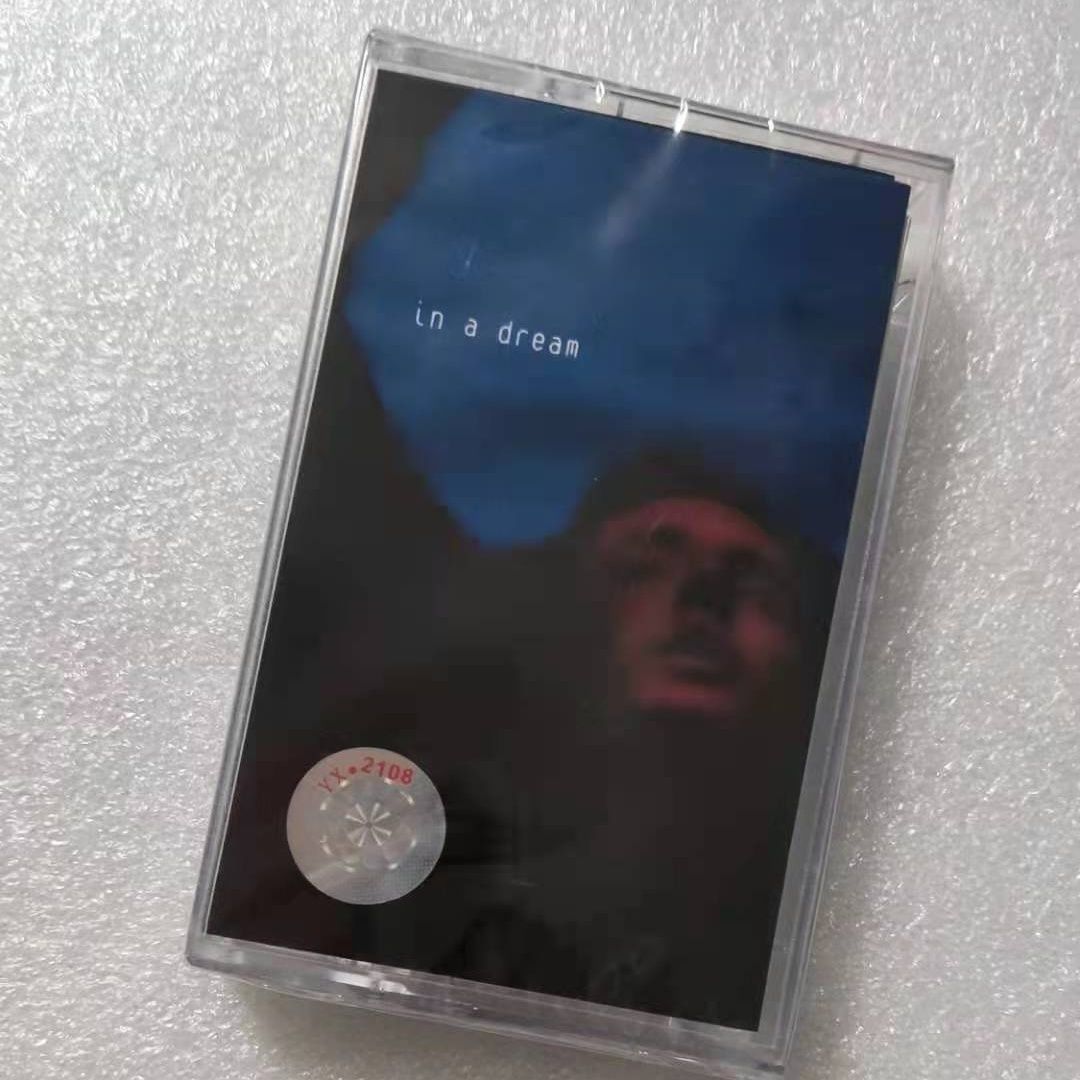 Electronic Gift - Troye Sivan In A Dream Album