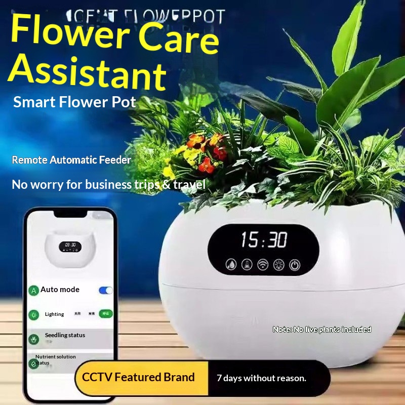 Ai Intelligent Flowerpot Autom - đánh giá và giá Electronic Gift